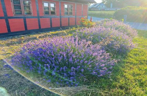 Frørup House | 5 star holiday home in Frørup