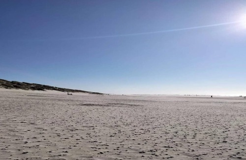 Henne Strand House | 5 star holiday home in Henne-By Traum