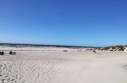 Henne Strand House | 5 star holiday home in Henne-By Traum