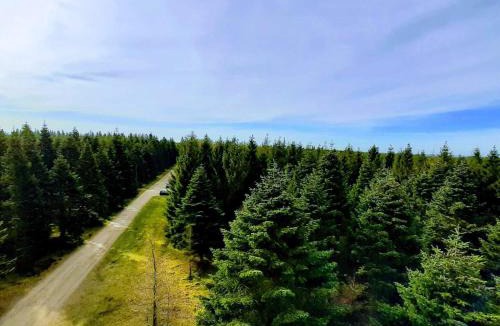 Hovborg House | 5 star holiday home in Hovborg