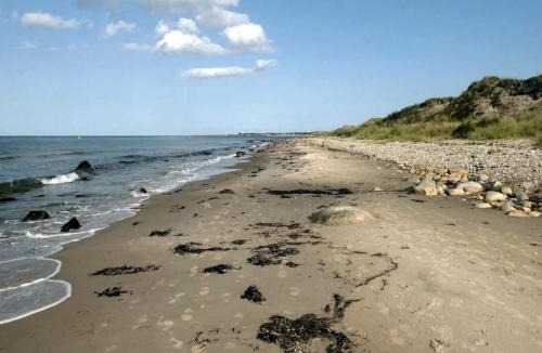 Læsø House | 5 star holiday home in Læsø