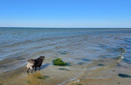 Nordborg House | 5 star holiday home in Nordborg