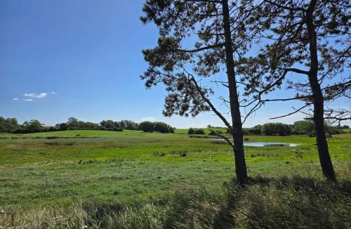 Høruphav House | 5 star holiday home in Sydals