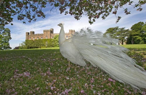 Perth Apartment | 5 Star Luxury Accommodation