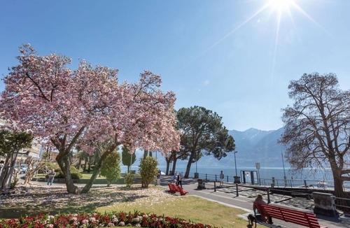 Ascona Apartment | 50 m² Apartment ∙ 1 bedroom ∙ 4 guests