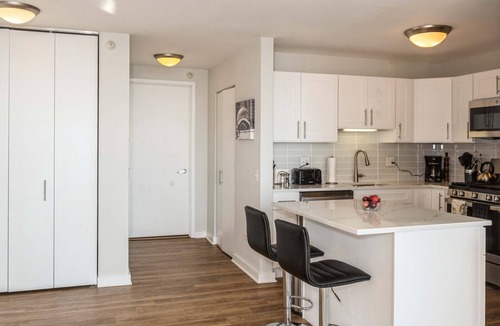 Downtown Chicago Apartment | 50th Floor Mag Mile Views, Balcony, Pool, Gym