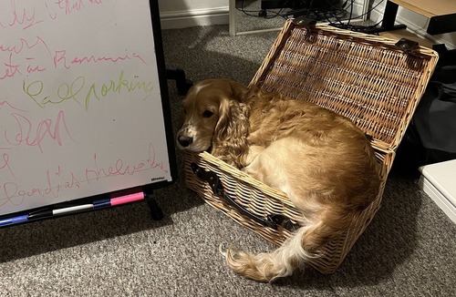 Preston Bed & Breakfast | 52 Chamberlayne Avenue