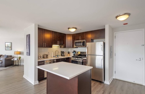 Downtown Chicago Apartment | 52nd Floor MagMile Penthouse Views Fireplace Pool
