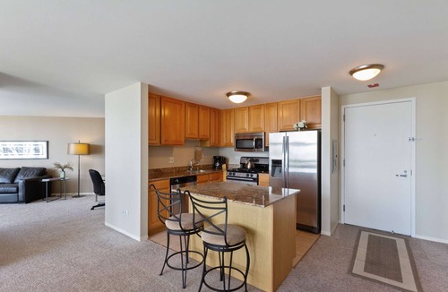 Downtown Chicago Apartment | 52nd Floor MagMile Penthouse Views Fireplace Pool