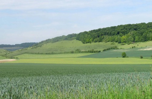 Campneuseville House | 58 m² House ∙ 2 bedrooms ∙ 4 guests