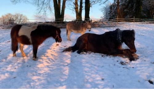 Chatelus-le-Marcheix House | 5Arsouze