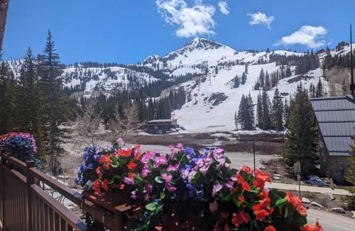 Salt Lake Mountain Resorts Ski Chalet | 5BR I Majestic l Brighton Ski Resort