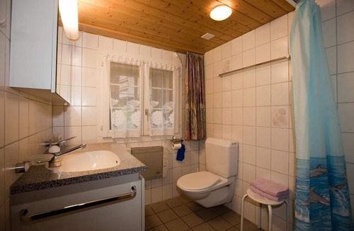 Hasliberg Other | 6.5 room holiday flat Hofstatthaus
