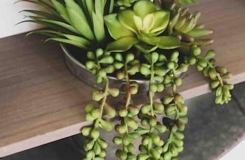 Bristol House | #6 * BEAUTIFUL* PET FRIENDLY HOME IN CENTRAL CT!*