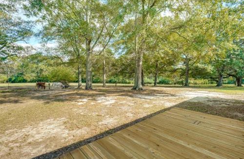 Poplarville House | 6 Mi to Main St Poplarville: Cabin w/Pasture View