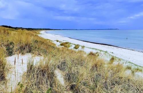 Nykobing Sjaelland House | 6 person holiday home in Nykøbing Sj-By Traum