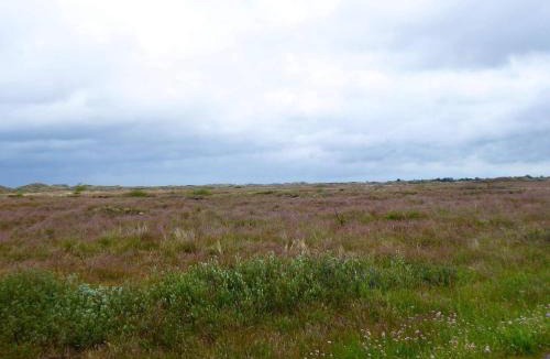 Nordstrand House | 6 person holiday home in Frederikshavn-By Traum
