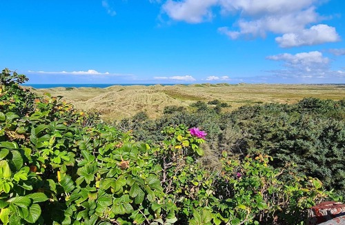 Hvide Sande Apartment | 6 person holiday home in Hvide Sande-By Traum