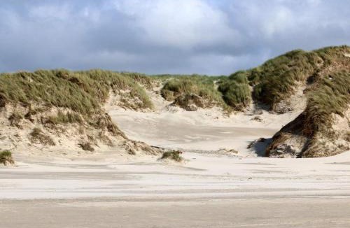 Henne Strand House | 6 person holiday home in Henne-By Traum