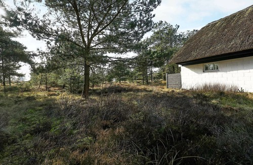 Mosevra House | 6 person holiday home in Oksbøl