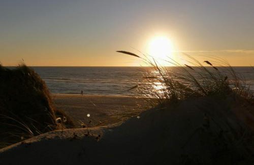 Lodbjerg Hede House | 6 person holiday home in Ringkøbing