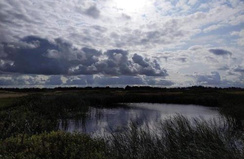 Sondervig House | 6 person holiday home in Ringkøbing