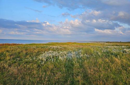 Ørsted House | 6 person holiday home in Ørsted-By Traum