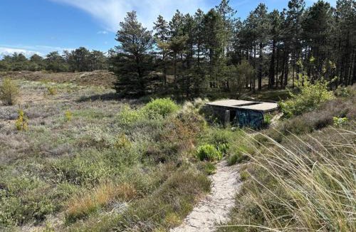 Bolilmark House | 6 person holiday home in Rømø-By Traum
