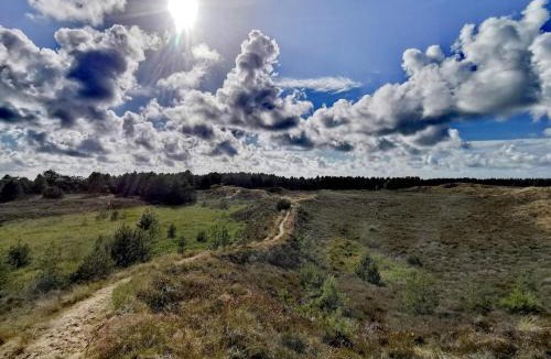 Bolilmark House | 6 person holiday home in Rømø-By Traum
