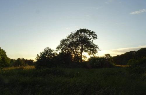 Øksenmølle House | 6 person holiday home in Ebeltoft