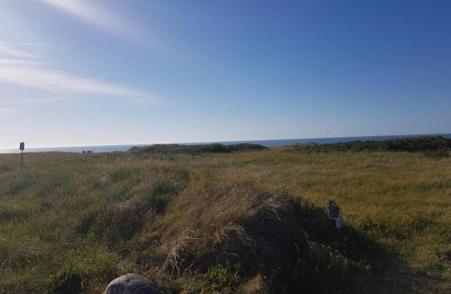 Skallerup Klit House | 6 person holiday home in Hjørring-By Traum