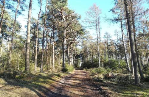 Gedesby House | 6 person holiday home in Gedser