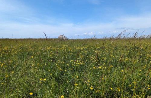 Gedesby House | 6 person holiday home in Gedser