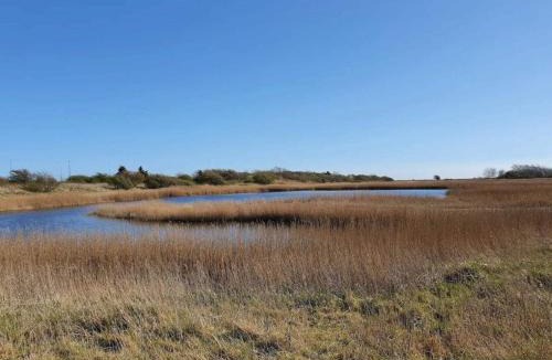 Gedesby House | 6 person holiday home in Gedser