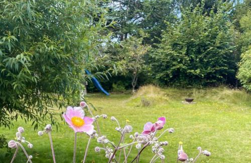 Udsholt Sand House | 6 person holiday home in Græsted-By Traum