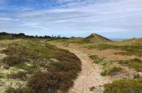Læsø House | 6 person holiday home in Læsø-By Traum