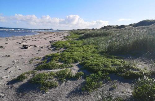 Læsø House | 6 person holiday home in Læsø-By Traum