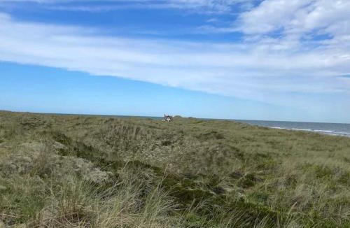 Læsø House | 6 person holiday home in Læsø