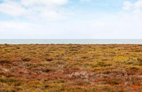 Læsø House | 6 person holiday home in Læsø