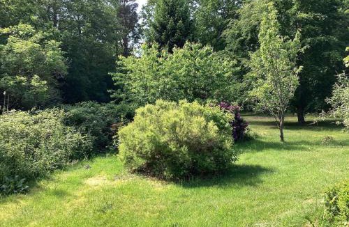 Læsø House | 6 person holiday home in Læsø