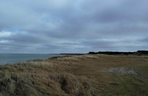 Vestero Havn House | 6 person holiday home in Læsø-By Traum