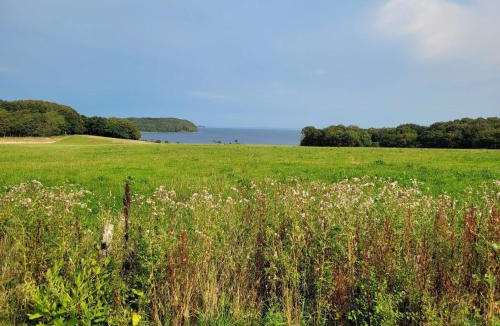 Vester Grønning House | 6 person holiday home in Roslev