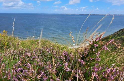 Remmer Strand House | 6 person holiday home in Struer-By Traum
