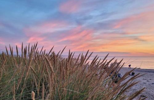 Skagen Apartment | 6 person holiday home in Skagen-By Traum