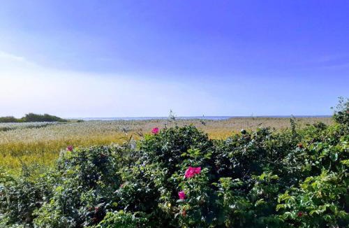 Skjern House | 6 person holiday home in Skjern-By Traum