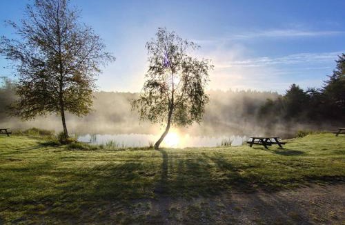 Arrild Ferieby House | 6 person holiday home in Toftlund-By Traum