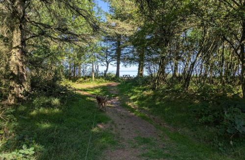 Sønder Nissum House | 6 person holiday home in Ulfborg