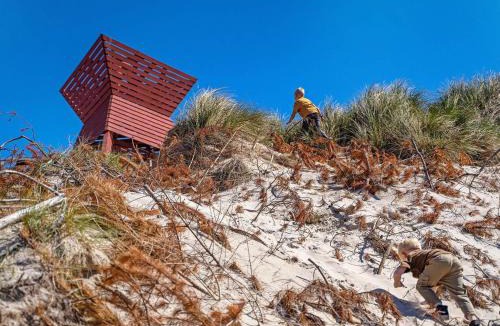 Blokhus Apartment | 6 person holiday home on a holiday park in Blokhus