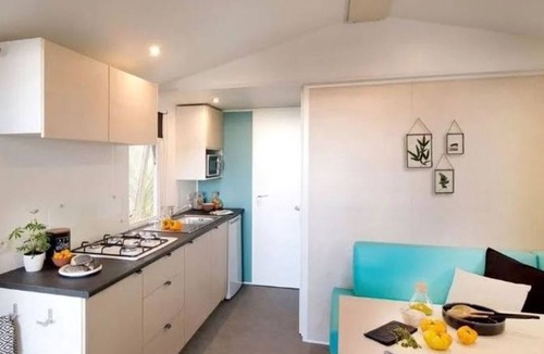 Saint-Paul-en-Born House | 6-Person Mobile Home with Terrace in Saint-Paul-en-Born