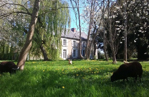 Vouneuil-sur-Vienne House | 6 persons with privative garden, heated pool